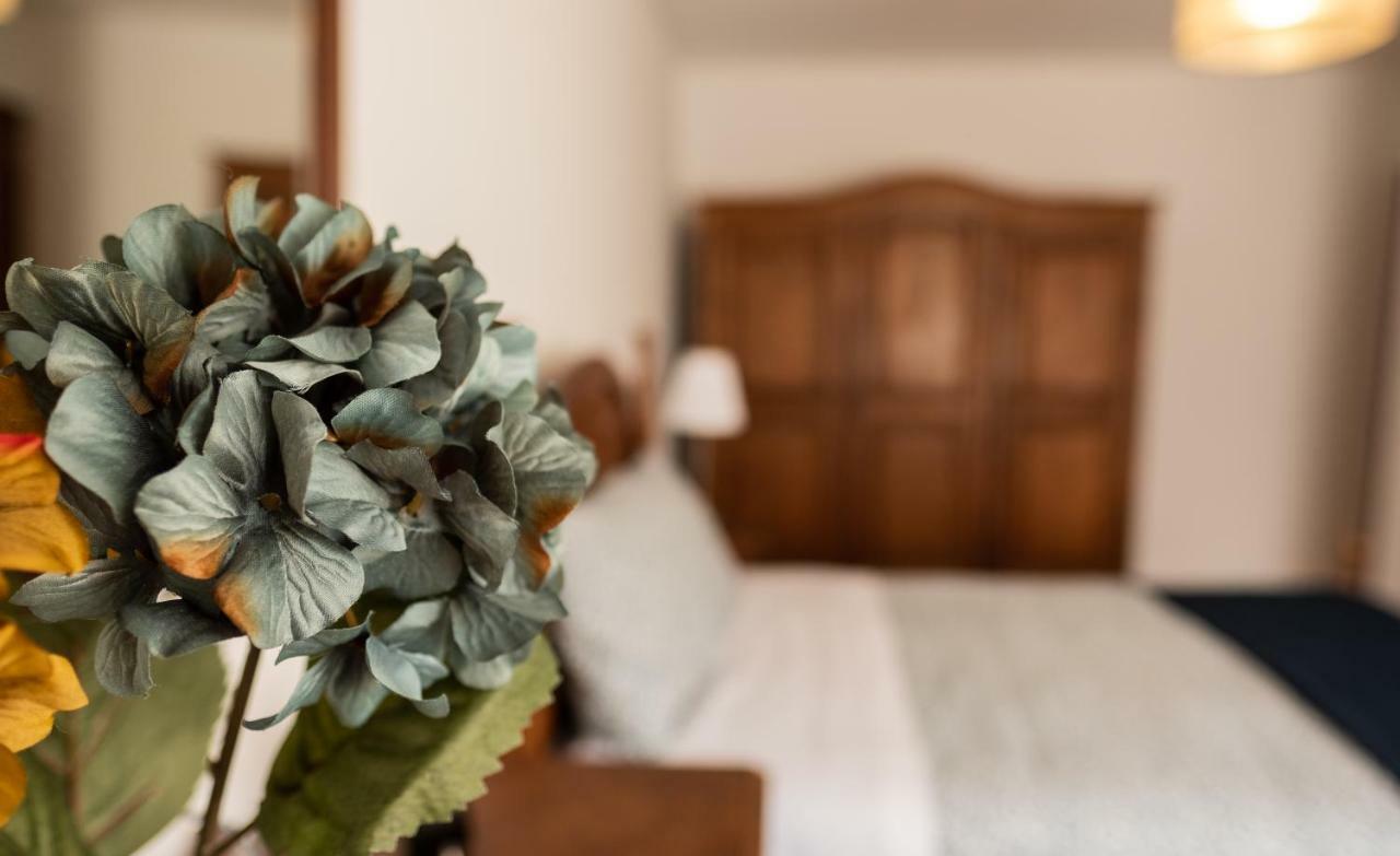 Cozy 3 Room Apartment In Penafiel Centre Exteriör bild